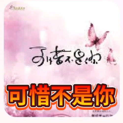 小说《可惜不是你》