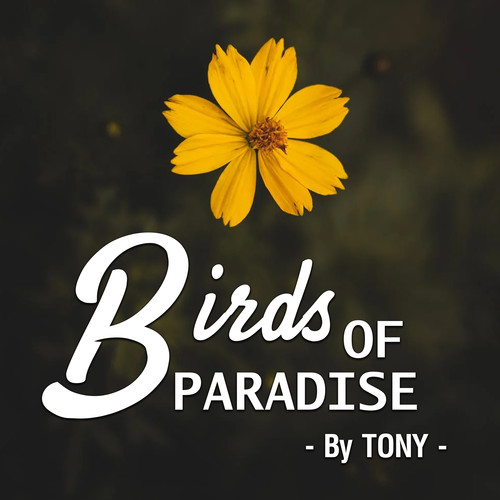 Birds of Paradise