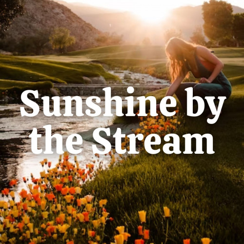 Sunshine by the Stream