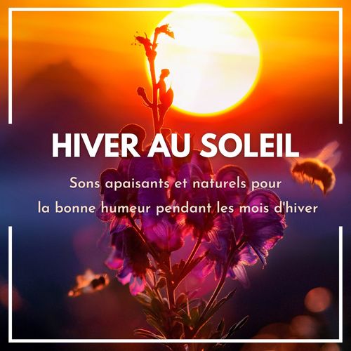 Hiver au soleil: Sons apaisants et naturels pour la bonne humeur pendant les mois d'hiver