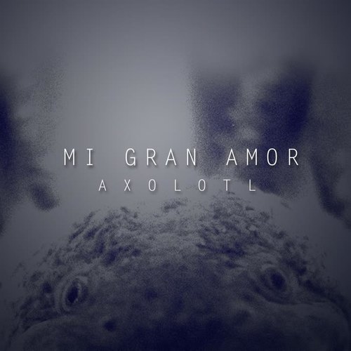 Mi gran amor (Axolotl)