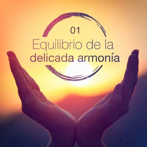 Equilibrio de la delicada armonía, Vol. 1