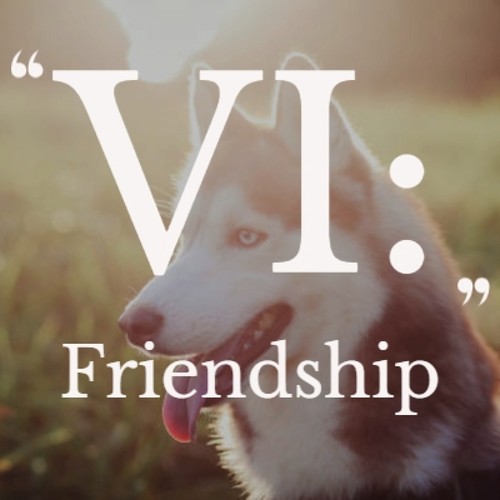 VI: Friendship
