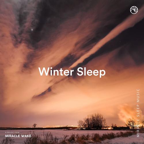 Winter Sleep