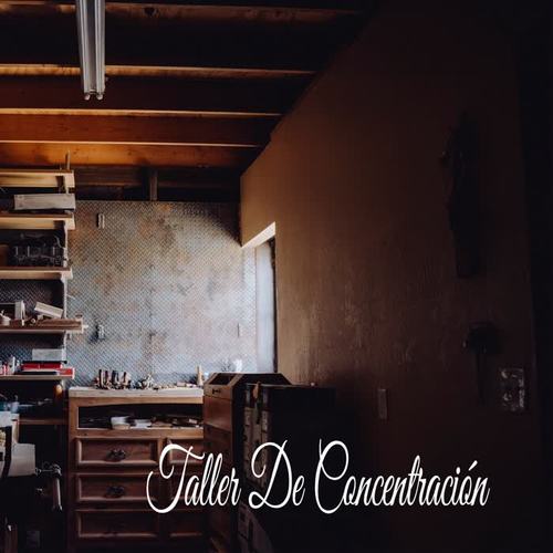 Taller De Concentración