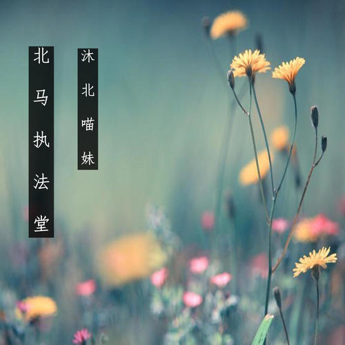 北马执法堂