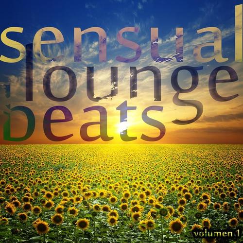 Sensual Lounge Beats, Vol. 1 (Uptempo Loungers of Joy and Happiness)