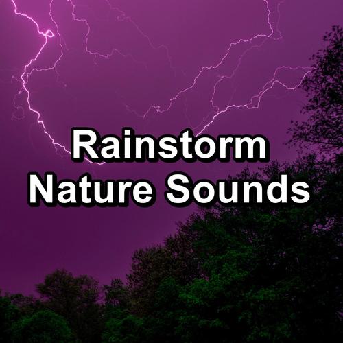 Rainstorm Nature Sounds
