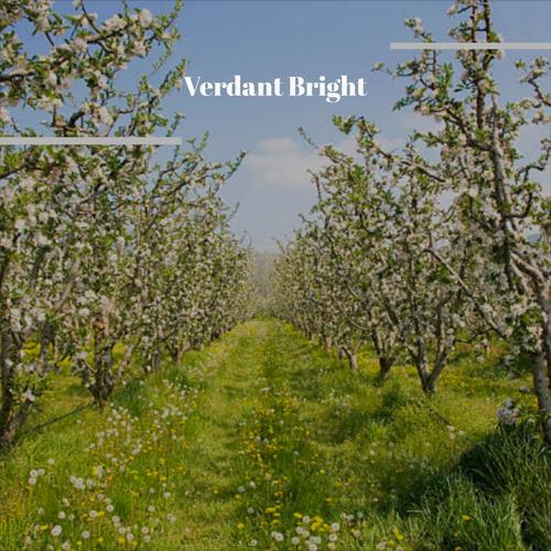 Verdant Bright