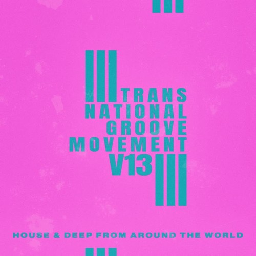 Trans-National Groove Movement - V13