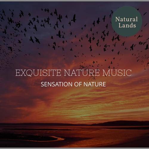 Exquisite Nature Music - Sensation of Nature