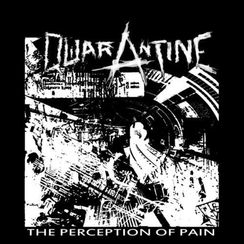 The Perception of Pain