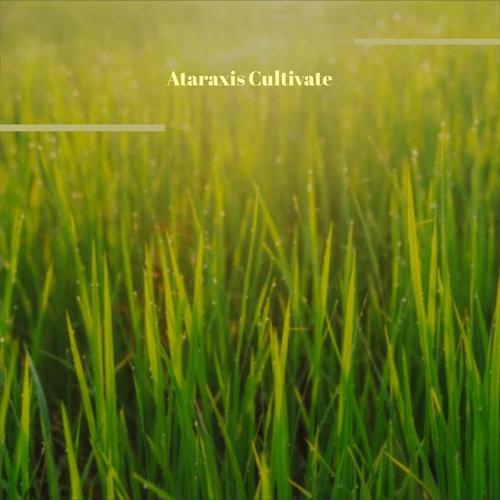 Ataraxis Cultivate