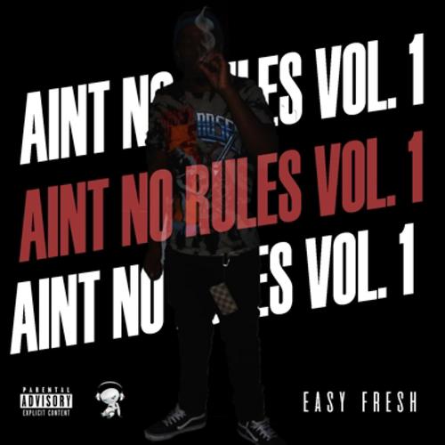 Ain't No Rules, Vol. 1 (Explicit)