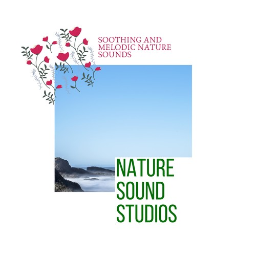 Nature Sound Studios - Soothing and Melodic Nature Sounds