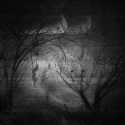 vinland (Explicit)