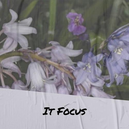 It Focus