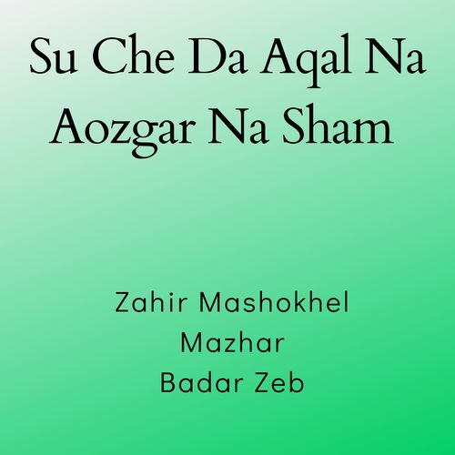 Su Che Da Aqal Na Aozgar Na Sham