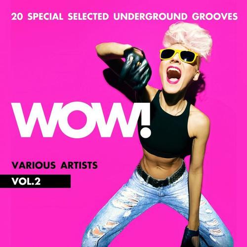 WOW! (20 Special Selected Underground Grooves) , Vol. 2