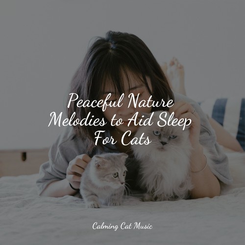 Peaceful Nature Melodies to Aid Sleep For Cats