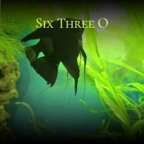 Six Three O