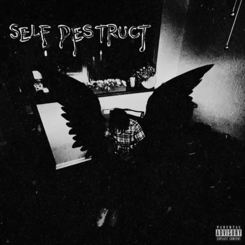 Self Destruct (Explicit)