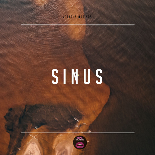 Sinus