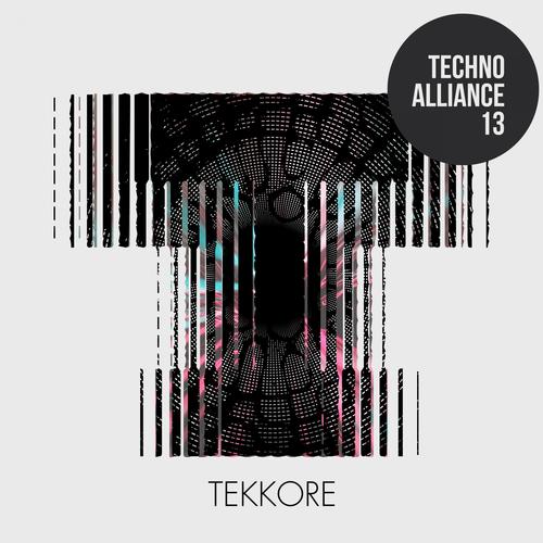 Techno Alliance 13