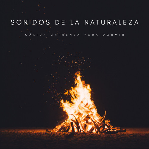 Sonidos De La Naturaleza: Cálida Chimenea Para Dormir