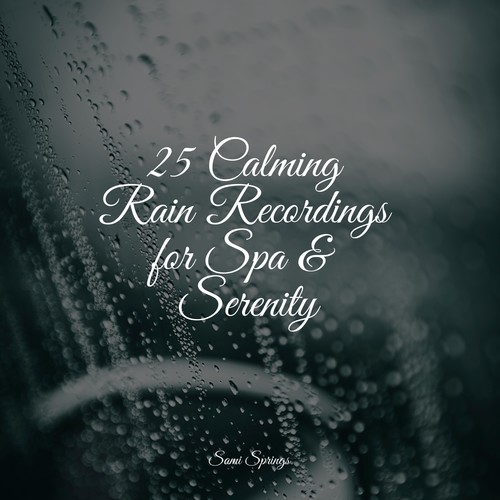 25 Calming Rain Recordings for Spa & Serenity