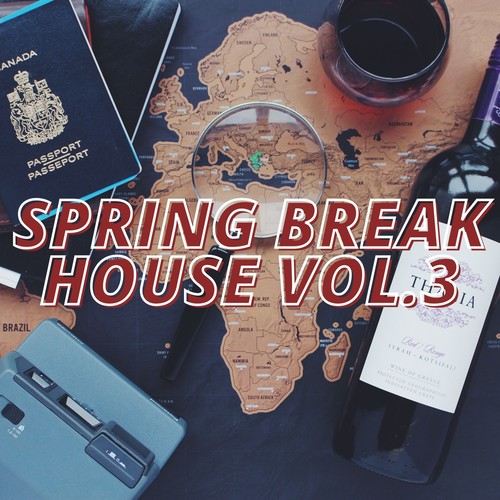 Spring Break House Vol.3