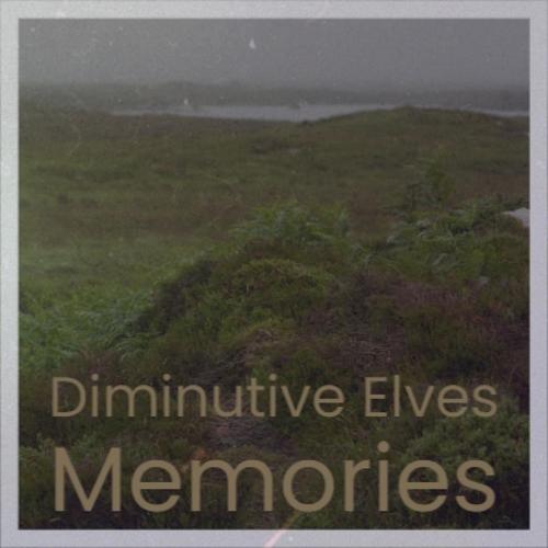 Diminutive Elves Memories