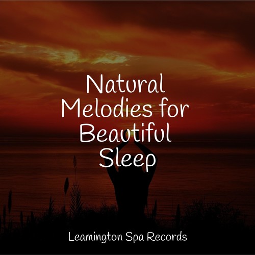 Natural Melodies for Beautiful Sleep