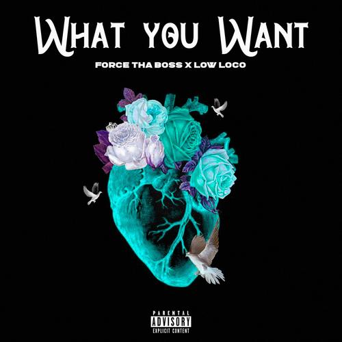 What You Want (feat. Low Loco) [Explicit]