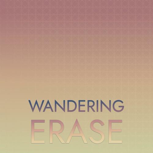 Wandering Erase