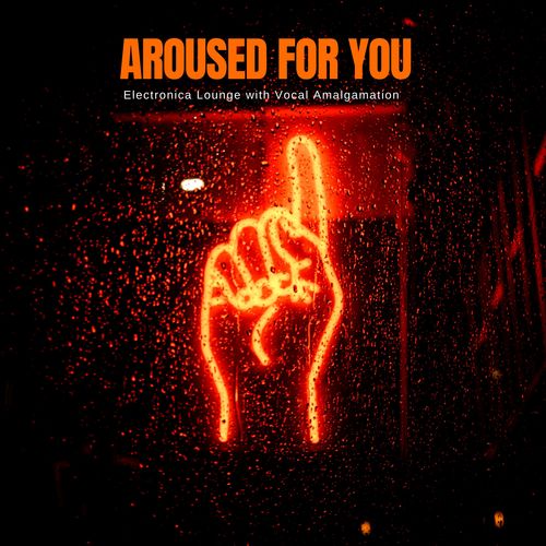 Aroused For You - Electronica Lounge With Vocal Amalgamation