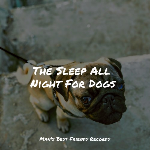 The Sleep All Night For Dogs