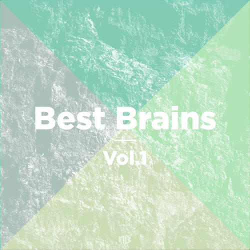 Best Brains, Vol.1