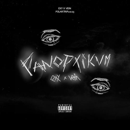 panoptikum (feat. vein17) [Explicit]