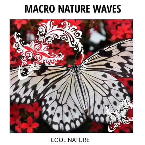 Macro Nature Waves - Cool Nature