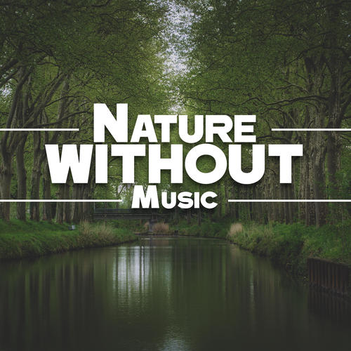 Nature Without Music: Pure Sounds of Relaxing Nature for Relaxation, Spa Treatments, Calmer Sleep, Relieve Tension and Stress