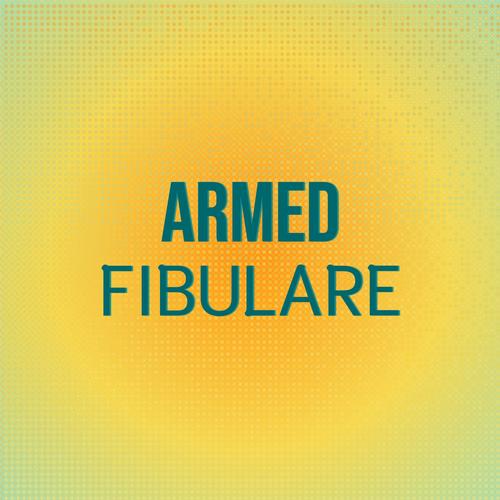 Armed Fibulare