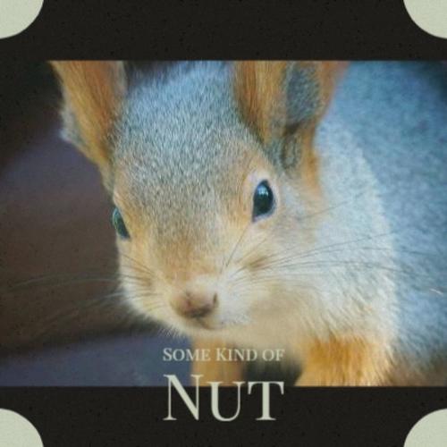 Some Kind of Nut