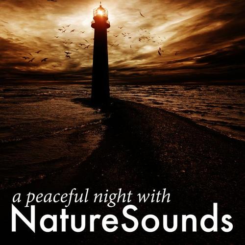 A Peaceful Night with Nature Sounds