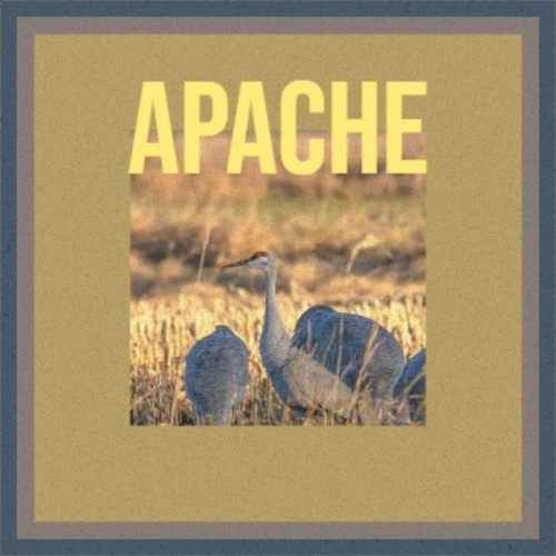 Apache