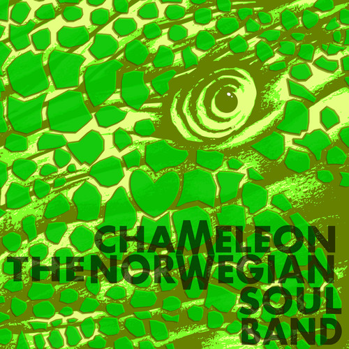 Chameleon (Radio Edit)