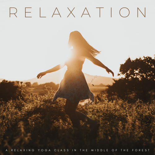 Relaxation: A Relaxing Yoga Class In The Middle Of The Forest