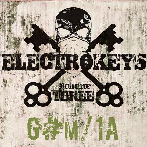 Electro Keys G#m/1a Vol 3