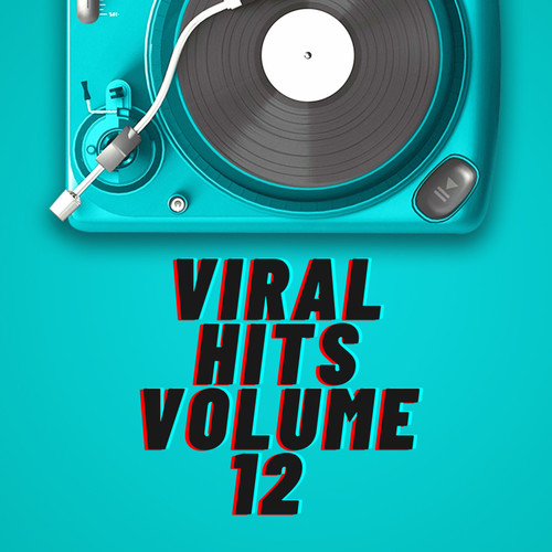 Viral Hits Volume 12 (Explicit)