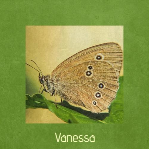 Vanessa